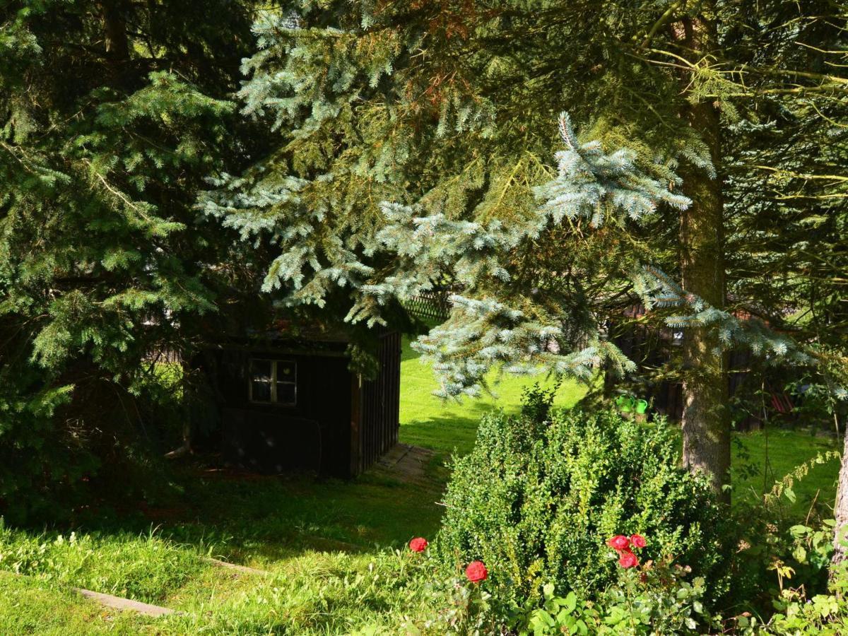 Apartment In Rauschenbach Saxony Near Forest Neuhausen  Exterior foto